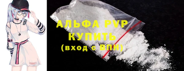 ПСИЛОЦИБИНОВЫЕ ГРИБЫ Богданович