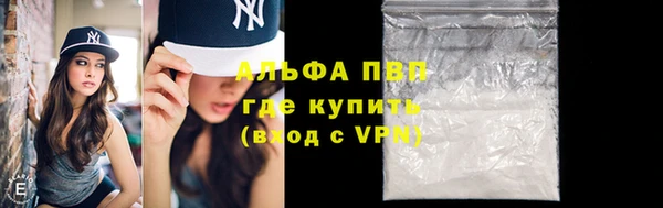 ПСИЛОЦИБИНОВЫЕ ГРИБЫ Богданович