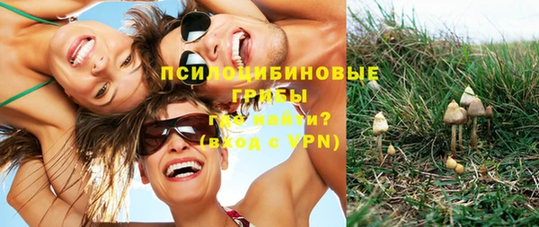 эйфоретик Богородицк