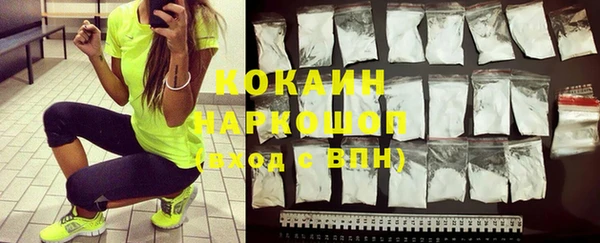 ПСИЛОЦИБИНОВЫЕ ГРИБЫ Богданович