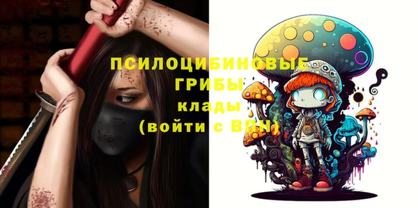 mdma Богородск